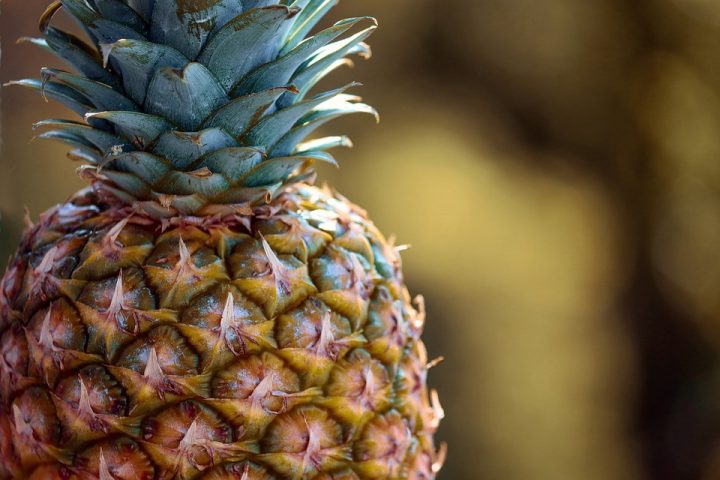 https://pixabay.com/de/photos/ananas-s%C3%BCdfrucht-obst-frucht-4044698/