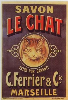 savonlepetitchat