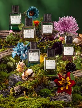 quartett restliche sweetbriar moss