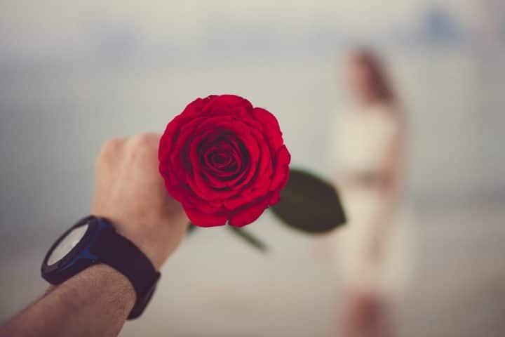 https://www.pexels.com/photo/person-holding-red-rose-selective-focal-photo-1534624/