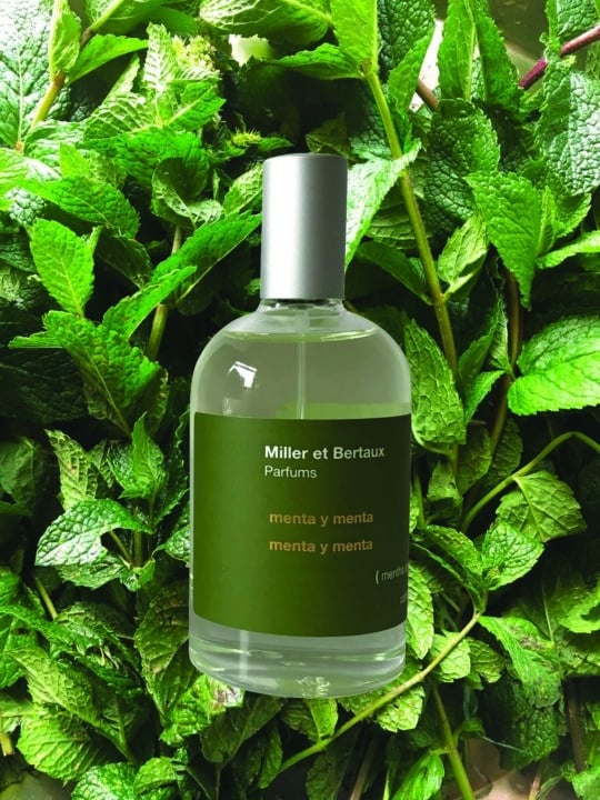 Miller et Bertaux – MENTA Y MENTA – Produktbild