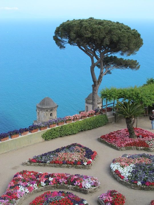 https://pixabay.com/de/photos/capri-baum-garten-italienisch-398294/