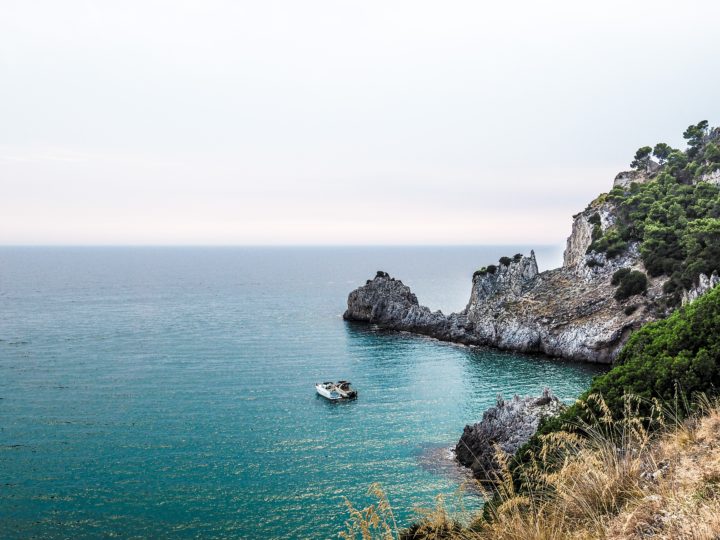 Simone Andreoli – Zest di Sorrento – Fico Nero di Sardegna – Mandorla di Noto – Unsplash