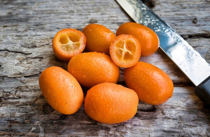 https://pixabay.com/de/photos/kumquats-zitrusfr%C3%BCchte-mandarine-3399712/