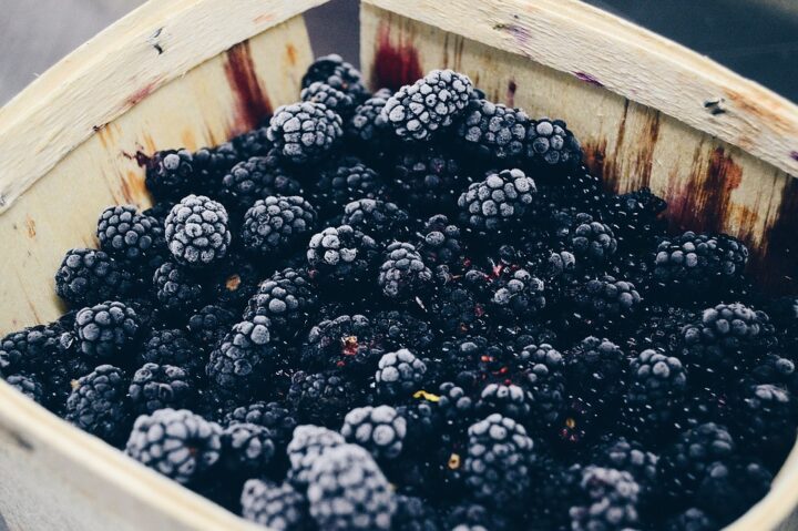 https://pixabay.com/photos/berry-blackberry-close-up-container-1867078/