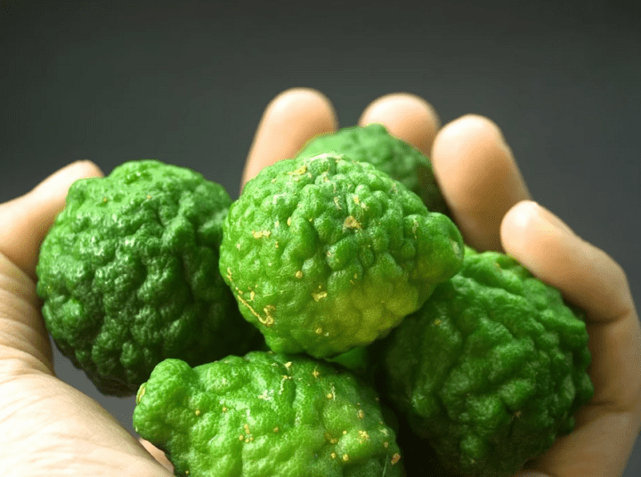 https://pixabay.com/photos/bergamot-fruit-leaf-isolated-1554302/