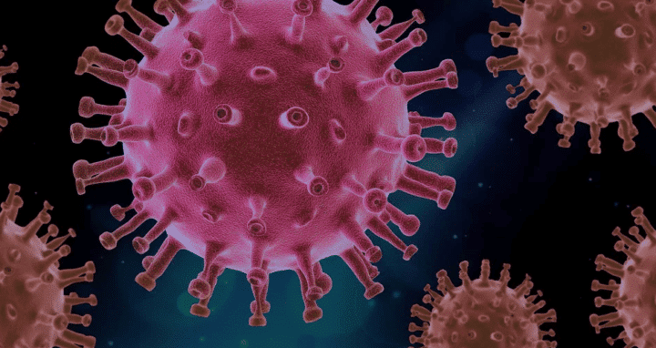 https://pixabay.com/illustrations/virus-pathogen-infection-biology-4937553/