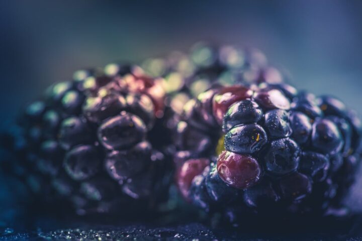 https://www.pexels.com/photo/selective-focus-photography-of-purple-fruit-870066/