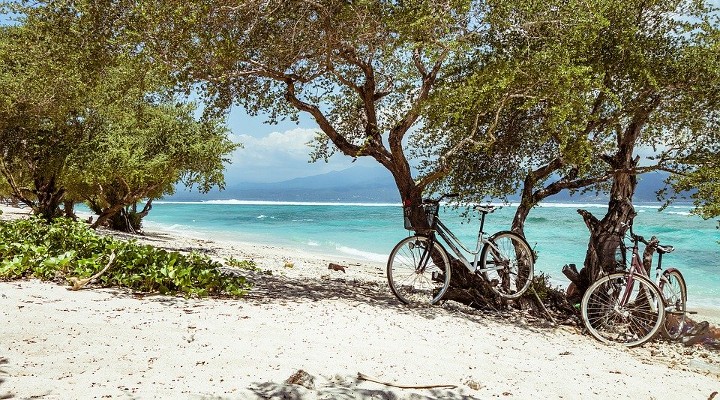 Une Nuit Nomades Mr. Vetiver - auf grasigen balinesischen Pfaden wandeln ... https://pixabay.com/photos/bicycle-bike-bali-607454/