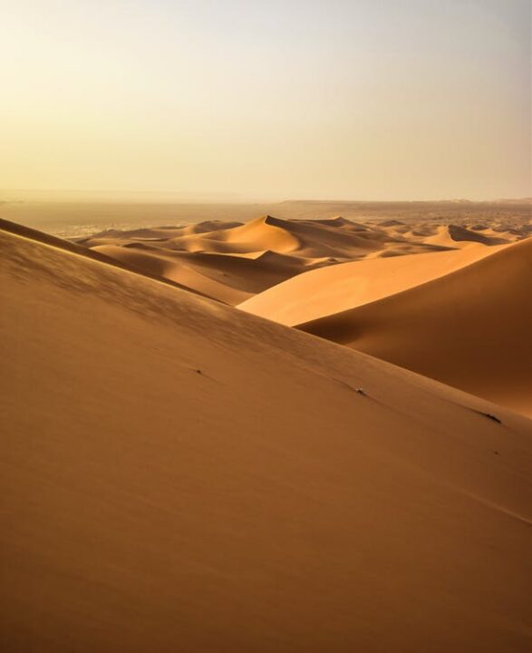 rabischen wird die Sahara الصحراء الكبرى, DMG aṣ-ṣaḥrāʾ al-kubrā, „die große Wüste“ genannt. Bisweilen findet man auch den Namen بحر بلا ماء, DMG baḥr bilā māʾ, „Meer ohne Wasser“ (vgl. Sahel für „Ufer“). Die antiken Römer nannten das Land südlich von Karthago Terra deserta, also „verlassenes Land“. Im Mittelalter nannte man die Sahara schlicht Große Wüste. Erst im 19. Jahrhundert hat sich die Bezeichnung Sahara du