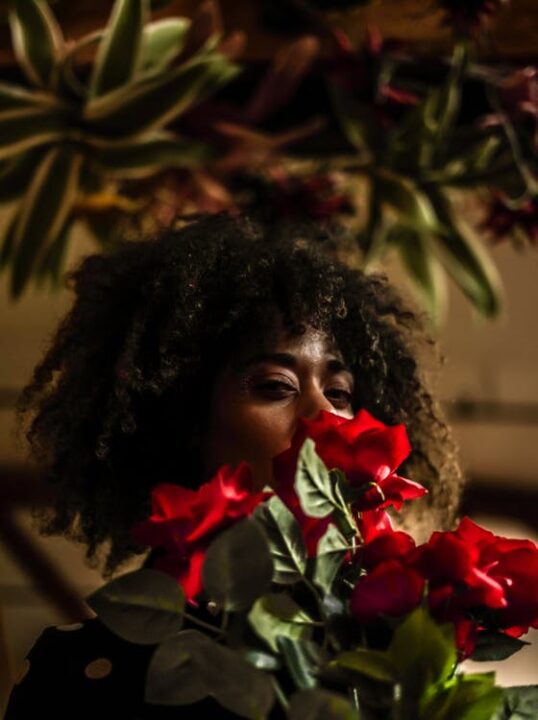 https://www.pexels.com/photo/woman-behind-red-flowers-1092214/