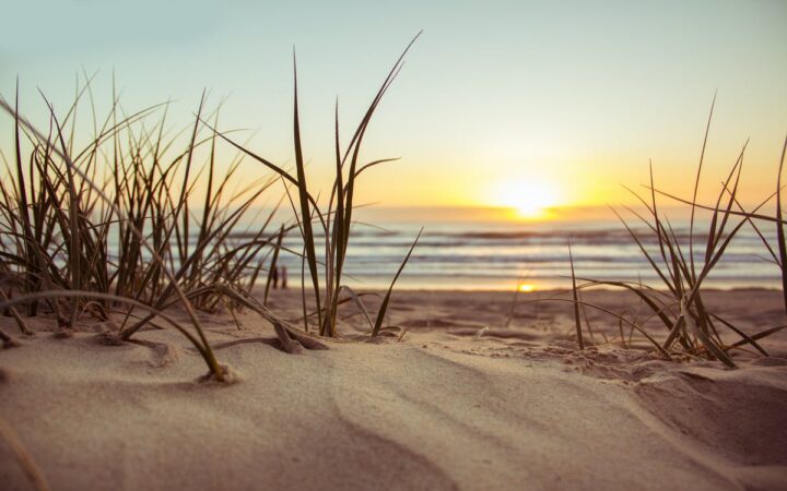 https://www.pexels.com/photo/green-grass-during-sunset-1192671/