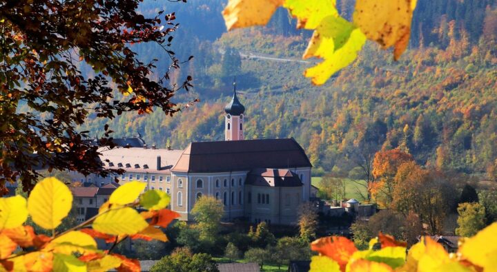 https://pixabay.com/de/photos/herbst-laub-kloster-beuron-3778502/