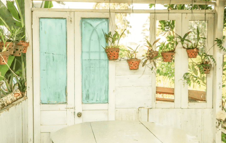 https://www.pexels.com/photo/green-leafed-plants-potted-on-pots-2466486/