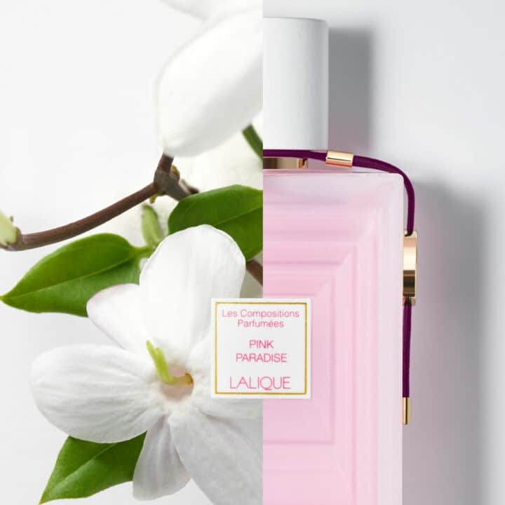 Lalique – Pink Paradise