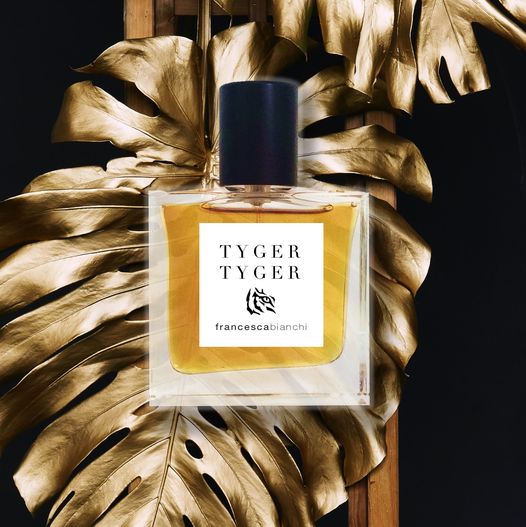 Francesca Bianchi – Tyger Tyger