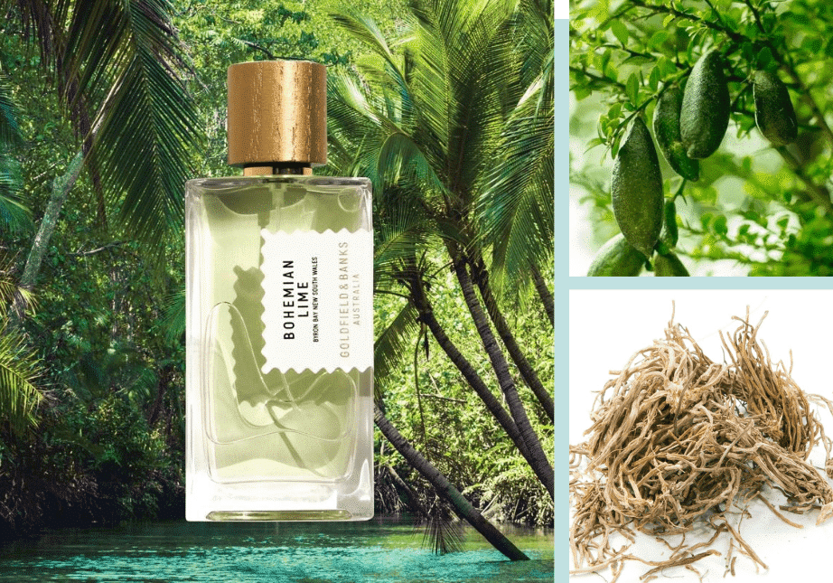 Goldfield & Banks – Bohemian Lime Goldfield & Banks – Bohemian Lime