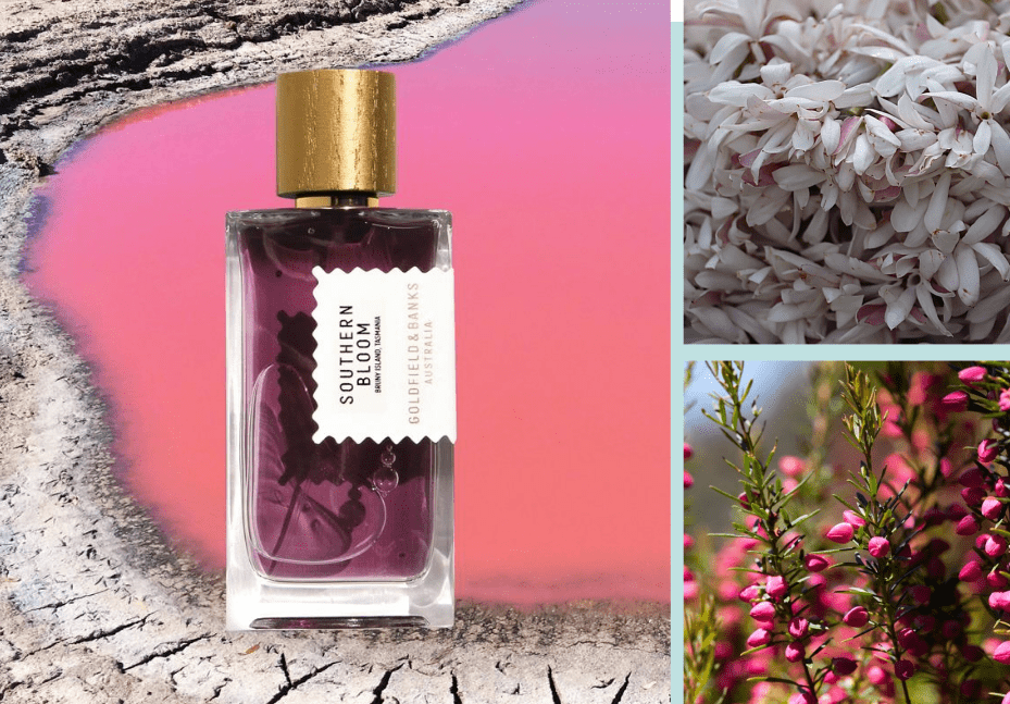 Goldfield & Banks – Southern Bloom Goldfield & Banks – Southern Bloom