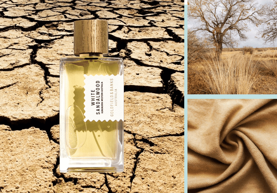 Goldfield & Banks – White Sandalwood