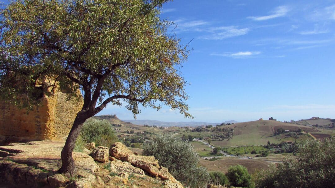 Near Agrigento, Sicily