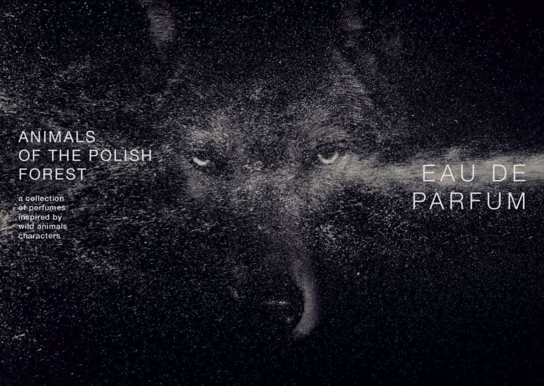 Animals of the Polish Forest von Wolf Brothers