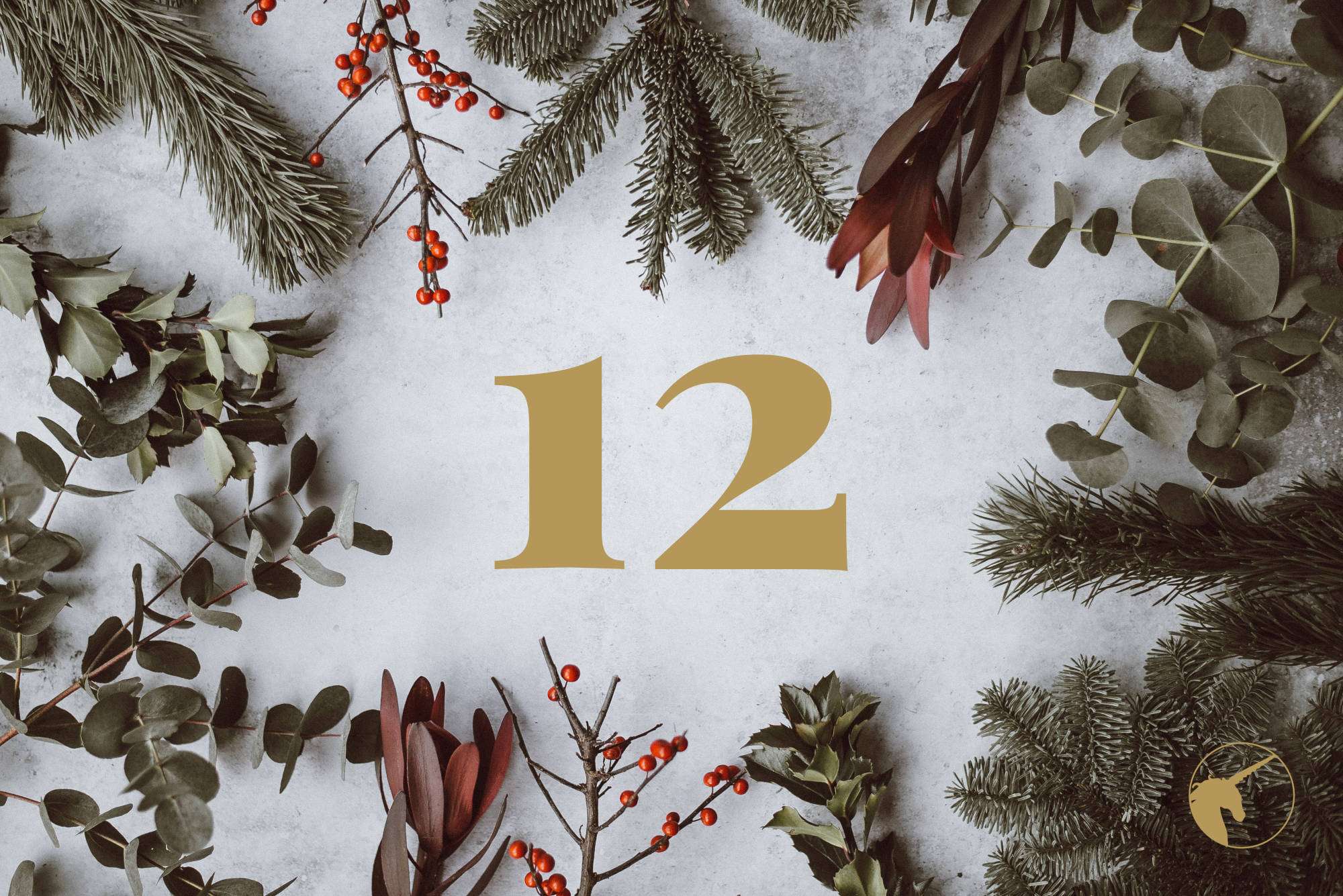 Duft-Tagebuch Adventskalender 2024