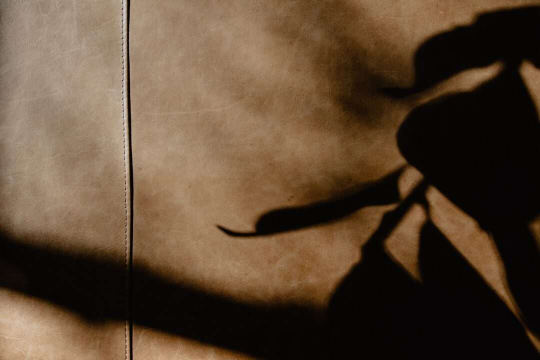 Shadow on leather
