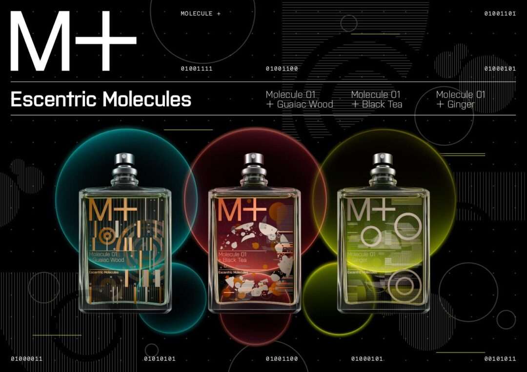 Molecule 01+ - Guaiac Wood, Black Tea and Ginger