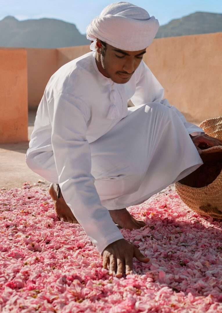 Roses of al-Jabal al-Akhdar - OJAR