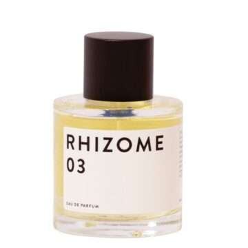 Rhizome – 03