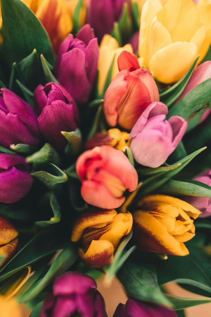 Bouquet of tulips - Spring Vibes