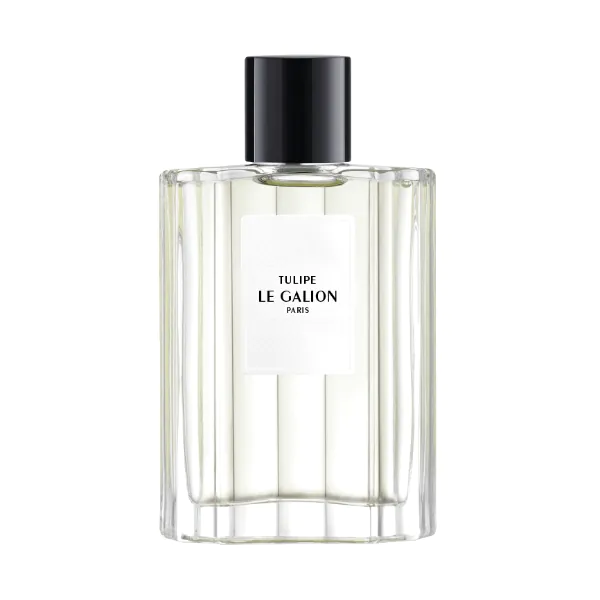 Le Galion - Tulipe