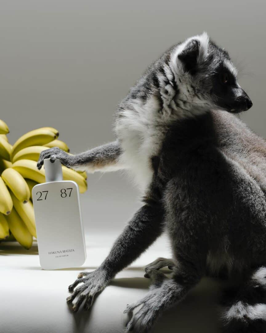 Hakuna Matata Lemur-Studioaufnahme mit Flasche