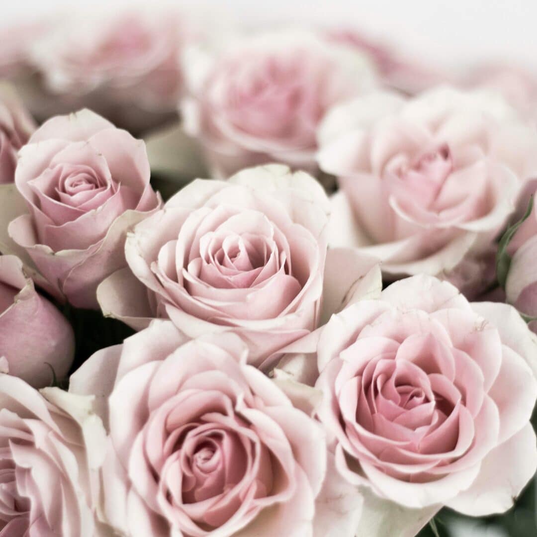 Rosen